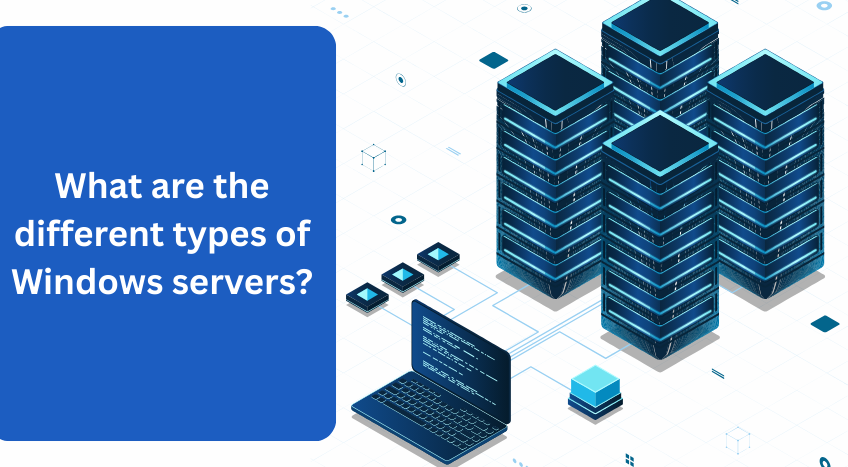 What are the different types of Windows servers?